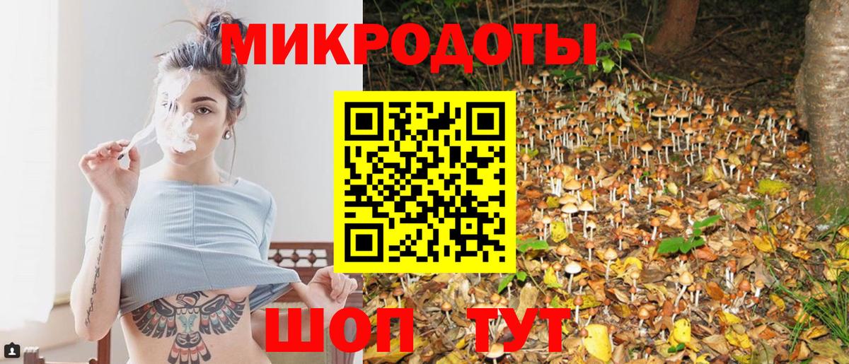 Псилоцибиновые грибы прущие грибы  купить наркотик  Вход с VPN  Ялуторовск  Галлюциногенные грибы Magic Shrooms 